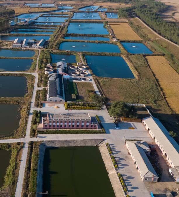 pp电子(中国游)官方在线平台